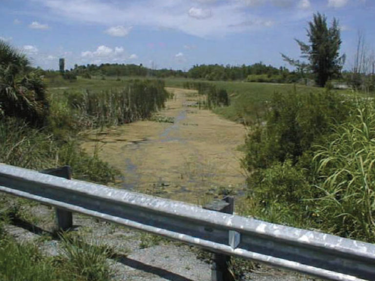 Loxahatchee river district engenuity group